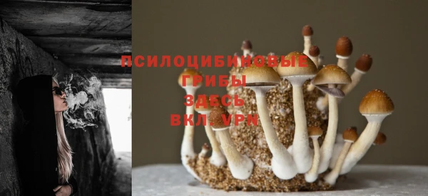 скорость Новодвинск