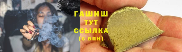 дурь Няндома