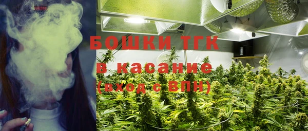 амф Новокубанск