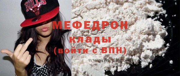 дурь Няндома