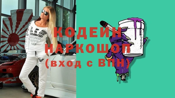 дурь Няндома