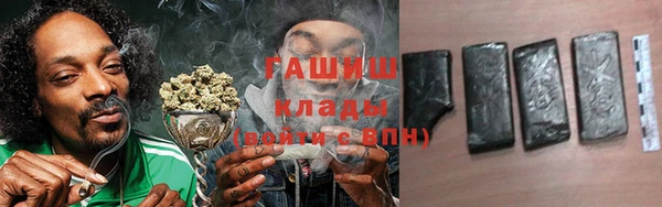 дурь Няндома