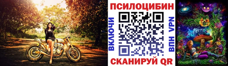 Псилоцибиновые грибы ЛСД ссылка на мегу tor Инсар